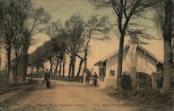 Road in Brouwershaven Postcard