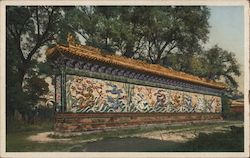 Dragon Wall, Winter Palace Postcard