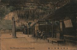The Wisteria of Daitokuji Postcard
