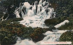 Greetings from Jamaica, Roaring River Postcard