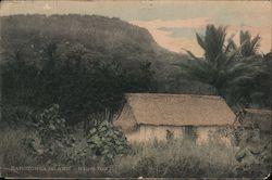 Rarotonga Island - Native Hut Postcard