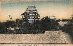 The famous Nagoya Castle Postcard