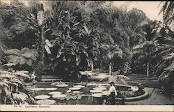 Castleton Gardens Postcard