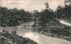 No. 59, Rio Cobre, Bog Walk Postcard