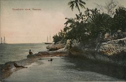 Seashore View Nassau, Bahamas Caribbean Islands Postcard Postcard Postcard