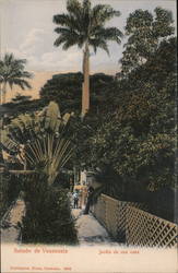 Saludo de Venezuela Jardin de una casa Caracas, Venezuela South America Postcard Postcard Postcard