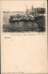 Vista de la Bahia - View of the Harbour Postcard