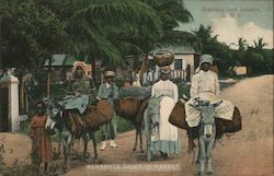 Greetings from Jamaica - peasants going to market Postcard