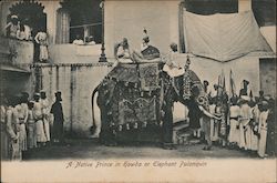 Native Prince in Howdah or Elephant Palanquin Postcard