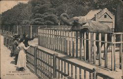 Elephant Park Postcard