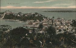 Bird's Eye View Postcard