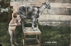 Stock #1008097 Thumbnail