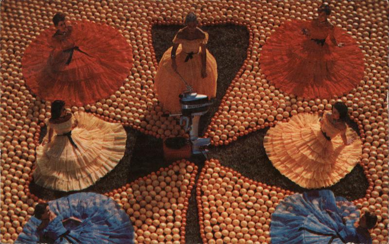 Some Florida Beauties