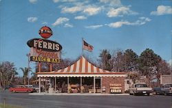 Ferris Groves Crystal River, FL Postcard Postcard Postcard