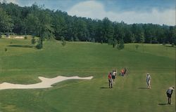 The Pines South Fallsburg, NY Postcard Postcard Postcard