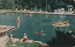 The Olympic sized swimming pool Buck Hill Falls, PA Postcard Postcard Postcard