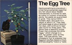 The Egg Tree Postcard