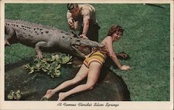 No swimming allowed should be obeyed" Postcard