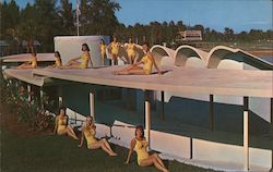 Mermaids of Weeki Wachee Underwater Aqua-theatre Florida Ted Lagerberg Postcard Postcard Postcard