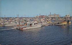 A fishing port in Wesport, Washington Postcard