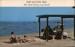 The Great Salton Sea Indio, CA Postcard Postcard Postcard