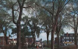Central Square Postcard