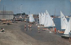 Beach with Sail Boats Postcard