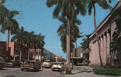 Tropical Royal Palms in Front of Open-Air Post Office on First Street Postcard