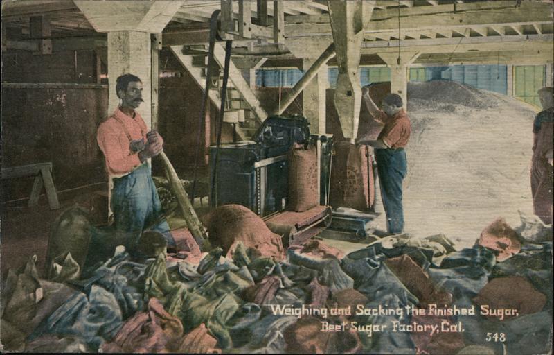 Weighing and Sacking the Finished Sugar, Beet Sugar Factory California