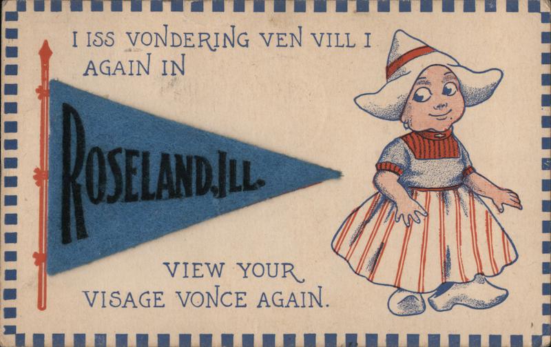 Roseland Felt Flag Illinois