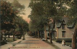 Willow Street Looking North Postcard