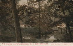 The Island, Crystal Springs, M.E. Camp Grounds in Niles District, Pokagon, Michigan Postcard Postcard Postcard