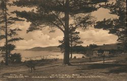 View of Carmel Bay Carmel-by-the-Sea, CA Postcard Postcard Postcard