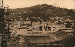 Birdseye View of Dunsmuir, Cal. Postcard