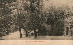 Bear Pits Zoo Gardens Postcard