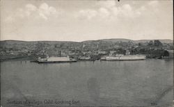 Section of City Looking East Postcard