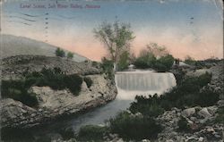 Canal Scene, Salt River Valley Arizona Postcard Postcard Postcard