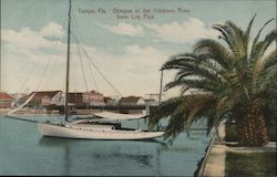 Glimpse of the Hillsboro River from City Park Postcard