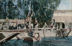 Swimming Pool Sulphur Springs Postcard