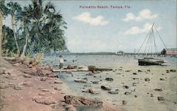 Palmetto Beach Postcard