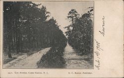 Cox Avenue Coxs Corner, NJ Postcard Postcard Postcard