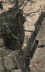 Cooper Rock Foot Bridge Morgantown, WV Postcard Postcard Postcard