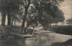 Big Creek above Spring House Postcard