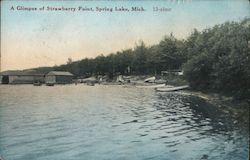 View of Strawberry Point Spring Lake, MI Postcard Postcard Postcard