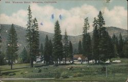 Wawona Hotel Postcard