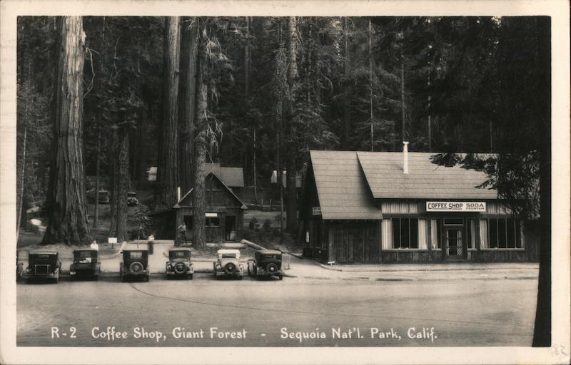 Coffe Shop, Giant Forest Sequoia National Park California