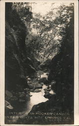 Interior in Hooker Canyon Boyes Hot Springs, CA C.A. Payne Postcard Postcard Postcard