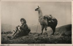 Man playing flute with a llama Postcard