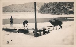 Man feeds deer in snow Postcard