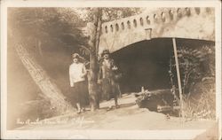 Fern Dell Nature Trail Postcard